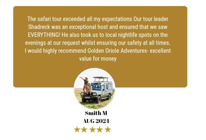 WhatsApp Image 2025-04-04 at 14.57.23