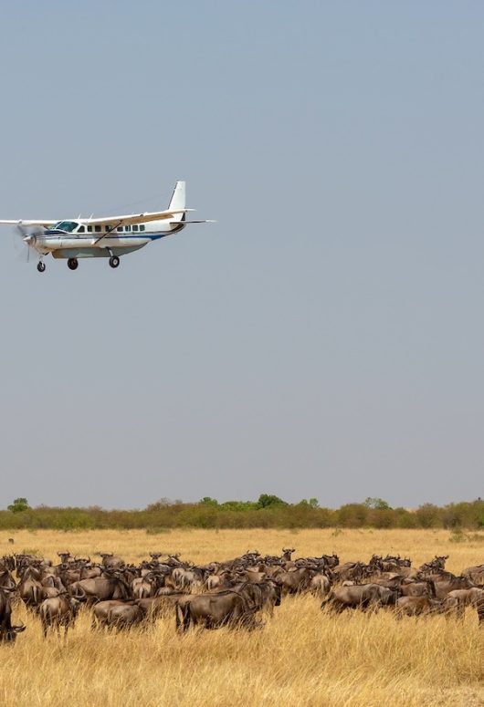 8-days-Fly-in-Kenya-Safari